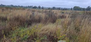 DA to oversee cemetery clean-up and restore dignity in Moqhaka