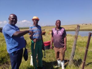 DA raises alarm over failure to allocate commonage in Slabbert FMD threat