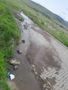 DA calls for urgent intervention for Phumelela sewerage collapse