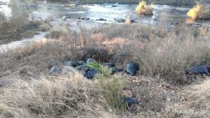 DA pushes tougher action against illegal dumping