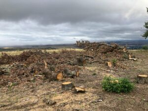 DA to press MEC for urgent action to secure Platberg Nature Reserve