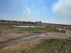 Sewage crisis threatening residents and livestock in Zamani