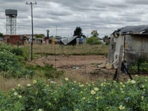 Tokologo municipality in contempt: DA to lay charges over court order defiance