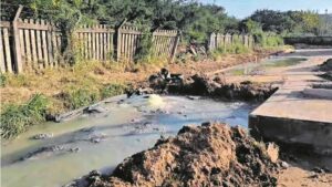 DA calls for sewage-filled Tongaat flats to be prioritised as a health emergency