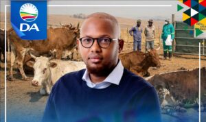 DA welcomes national Foot-and-Mouth-Disease vaccination rollout as essential support for KZN farmers
