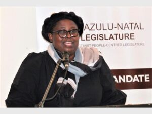 DA welcomes KZN Speaker’s suspension of MKP/EFF members, calls for further investigations