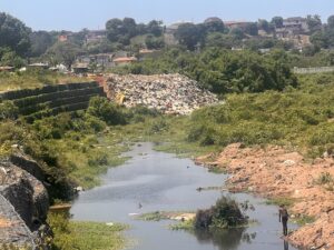 DA to take firm action as oversight exposes Umhlanga River ecocide