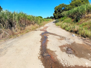 DA calls for swift action as KZN Transport admits busy Tongaat road has not been upgraded for over 30 years