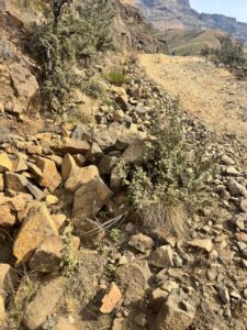 Lives and livelihoods at risk as Transport MEC snubs call to fix Sani Pasi infrastructure
